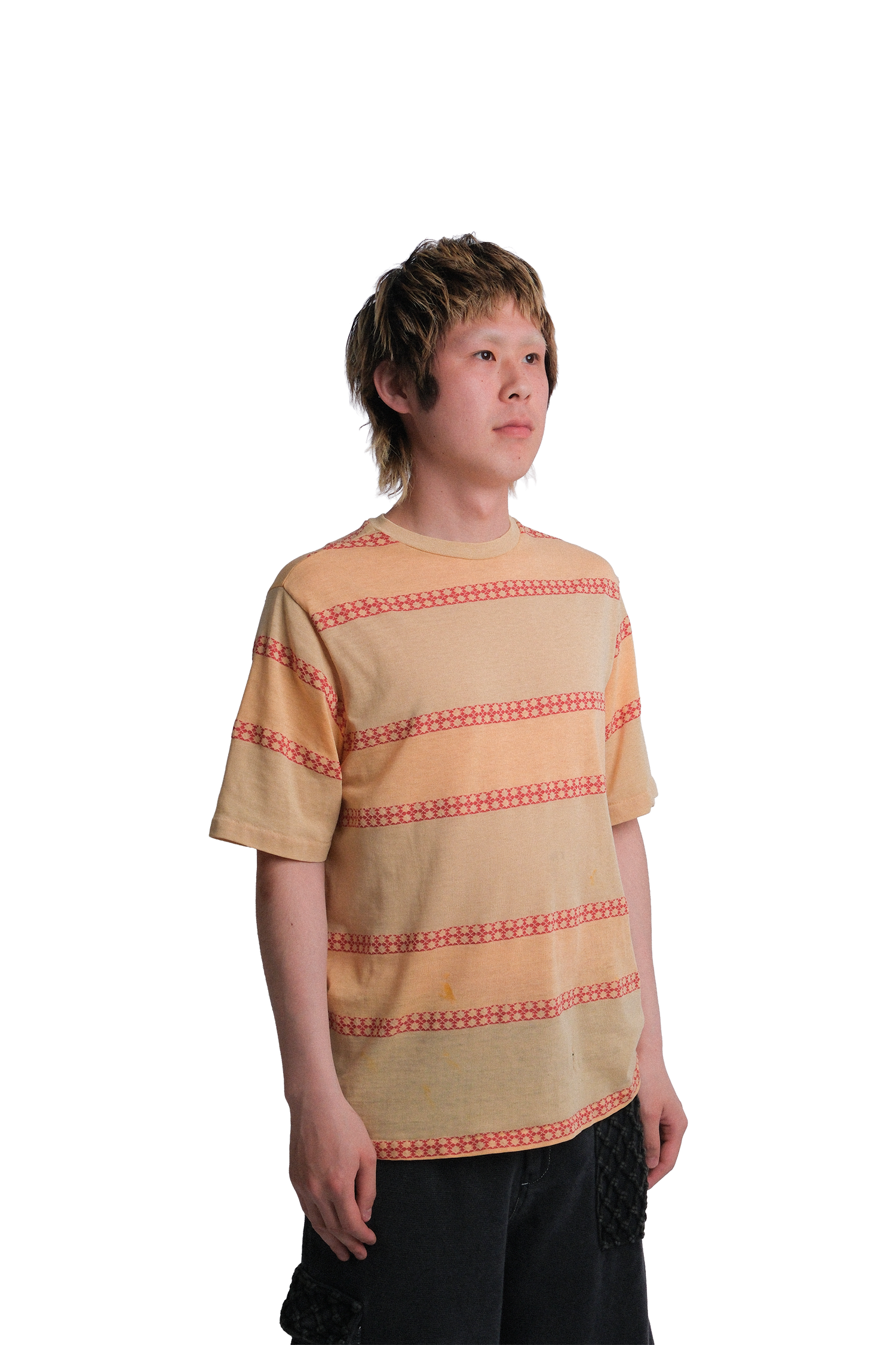 70's Hang Ten Border