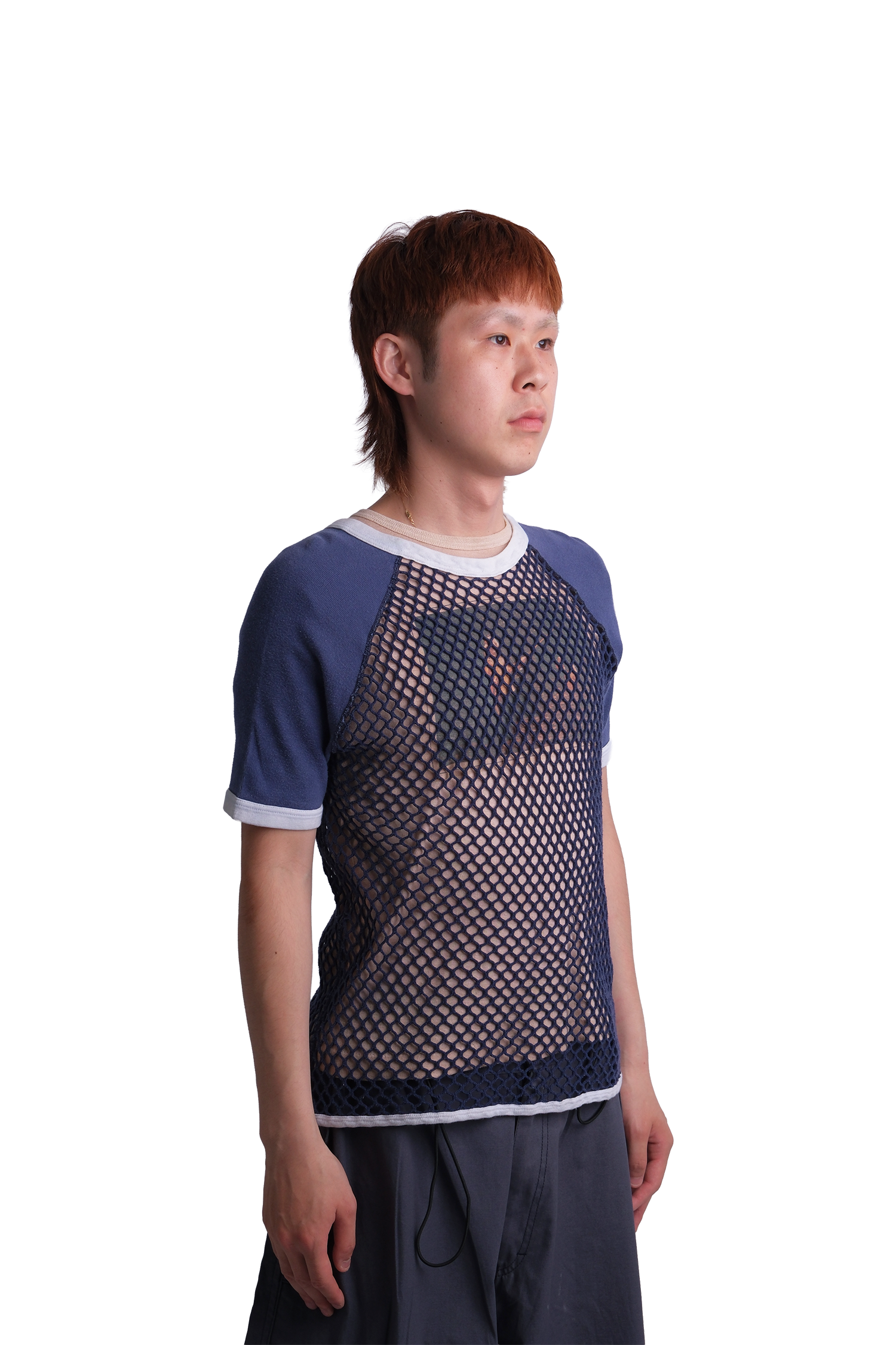 NORSE-NET Fishnet Base Layer