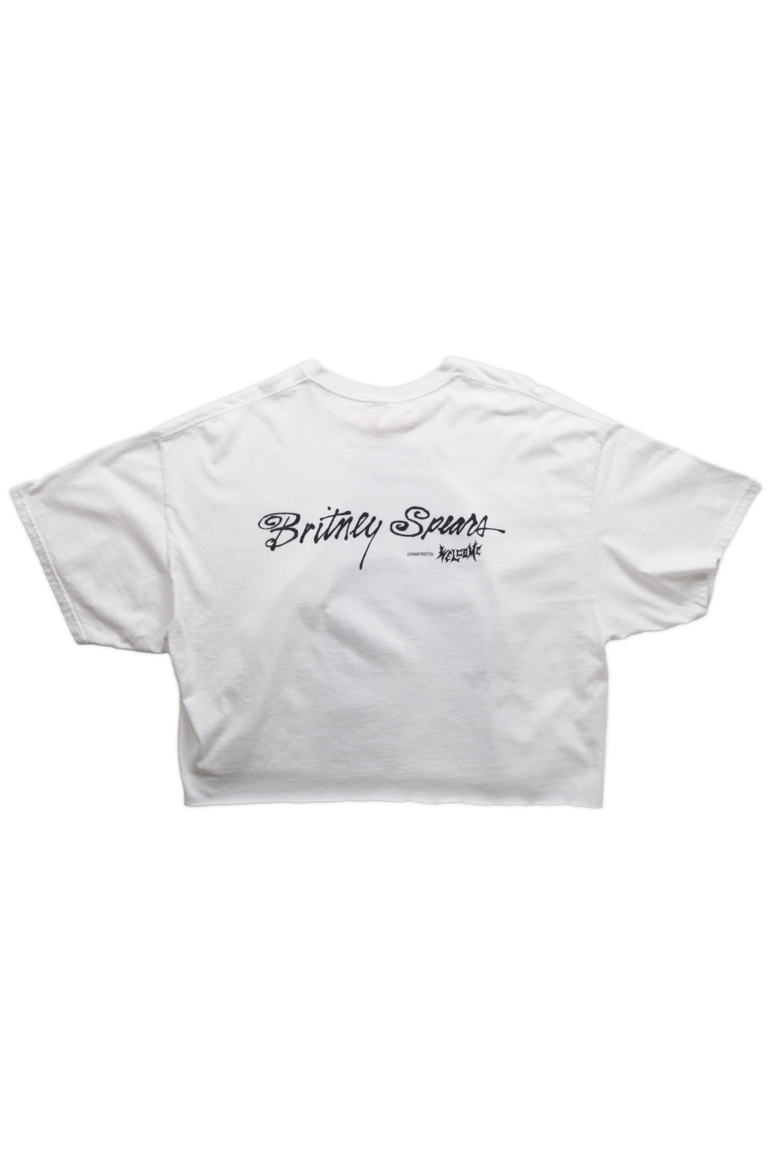 Welcome × Britney Spears Believe